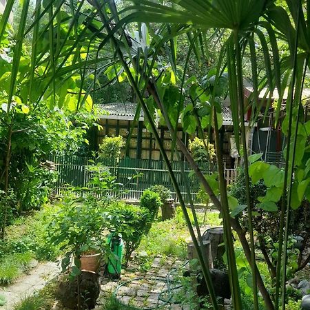 Gardens In Vake, Tbilisi Hotel Ngoại thất bức ảnh
