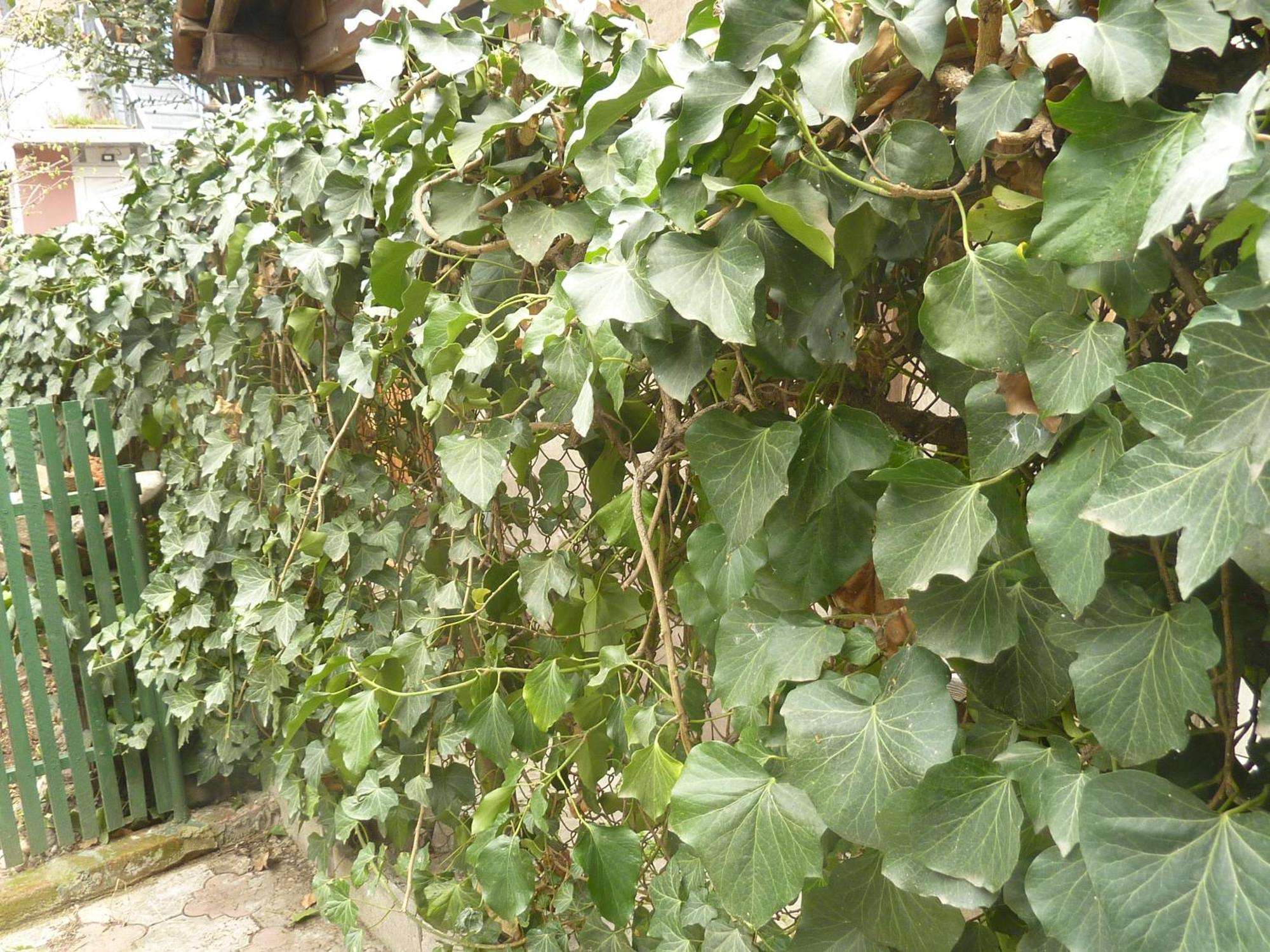 Gardens In Vake, Tbilisi Hotel Ngoại thất bức ảnh